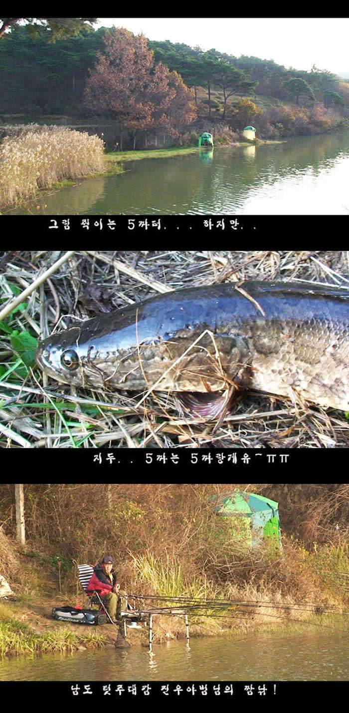 하얀비늘 자게용 조행기 남도에는 情이 있다 1편 (커뮤니티 - 자유게시판)