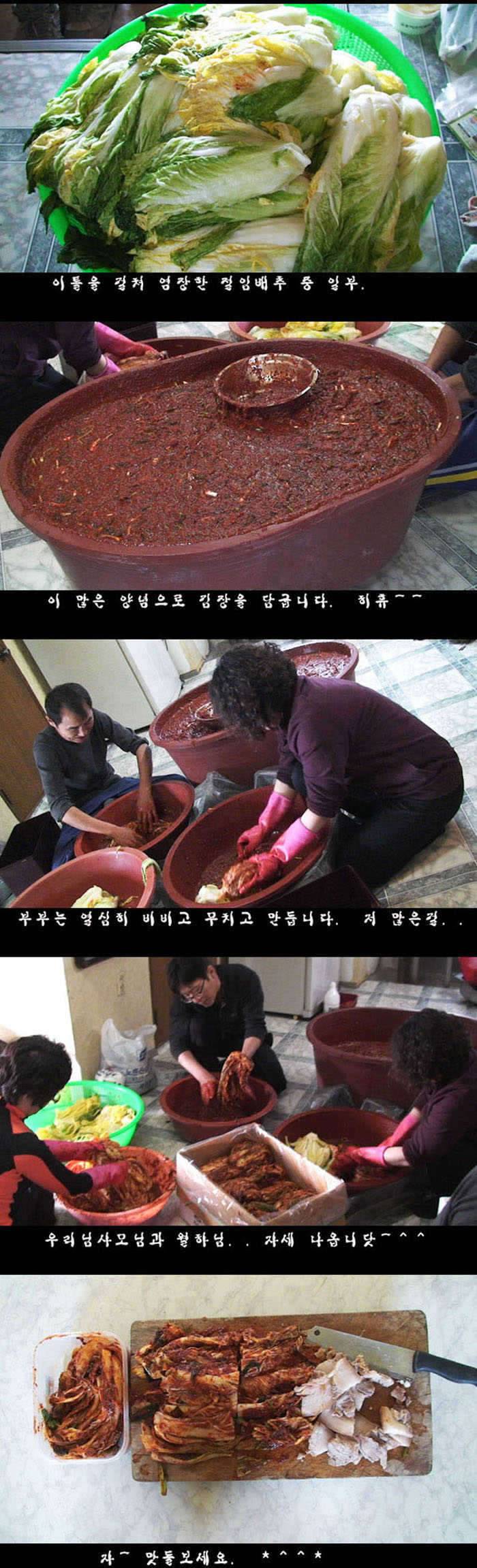 하얀비늘 자게용 조행기 남도에는 情이 있다 1편 (커뮤니티 - 자유게시판)