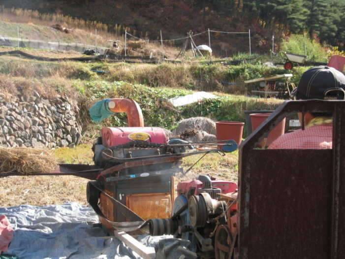 추수를 마치고 (커뮤니티 - 자유게시판)