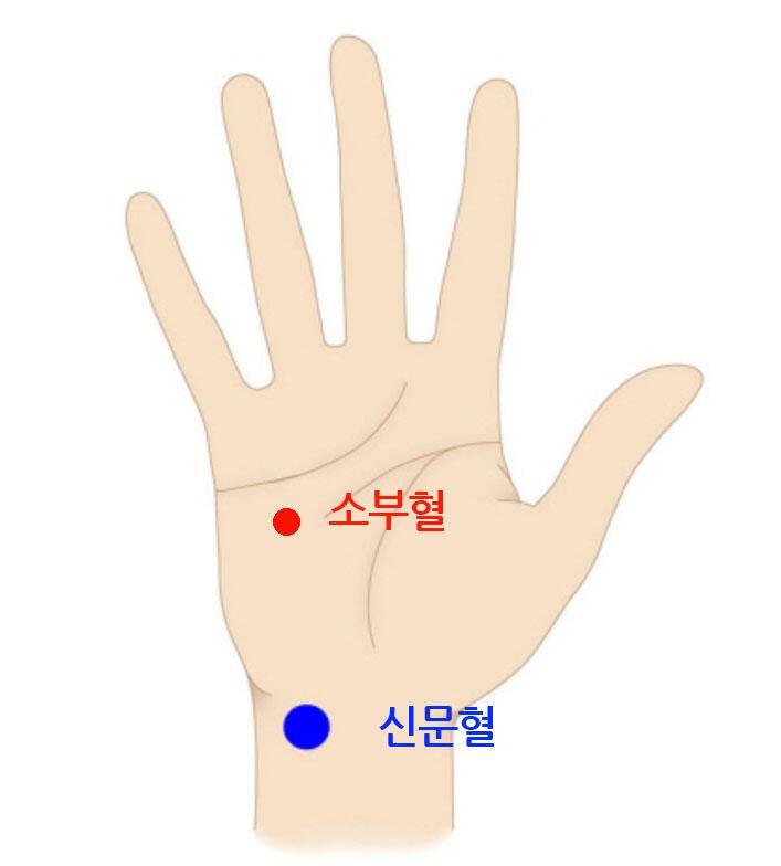 블면증 극뽁 프로젝트 (커뮤니티 - 자유게시판)