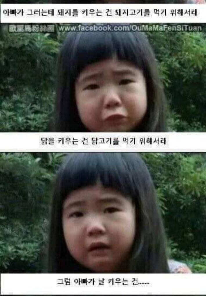 짤모음 한번더 (커뮤니티 - 자유게시판)