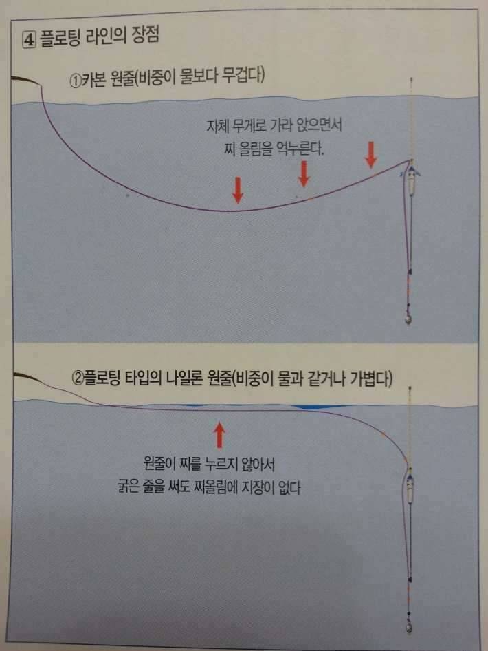카본줄에대한 잘못된 상식 (커뮤니티 - 자유게시판)
