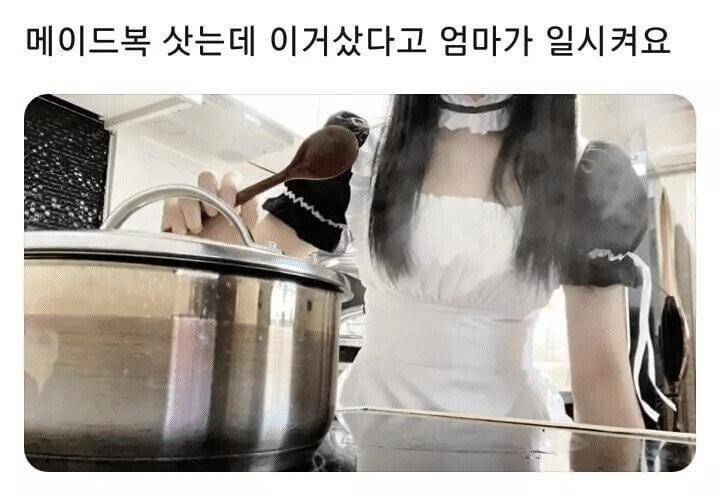 닭에 대해 잘 아시는분 (커뮤니티 - 자유게시판)
