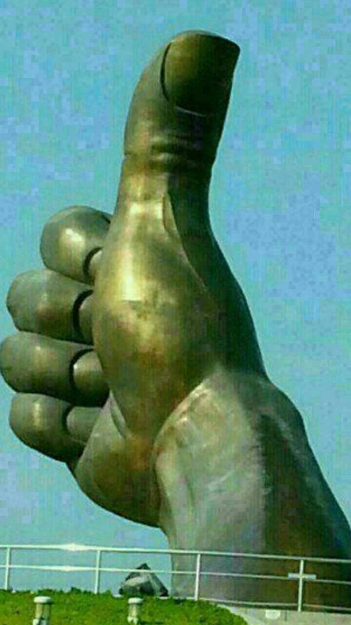 제 엘보글에 고견을 주신 선후배님들께ㆍ (커뮤니티 - 자유게시판)