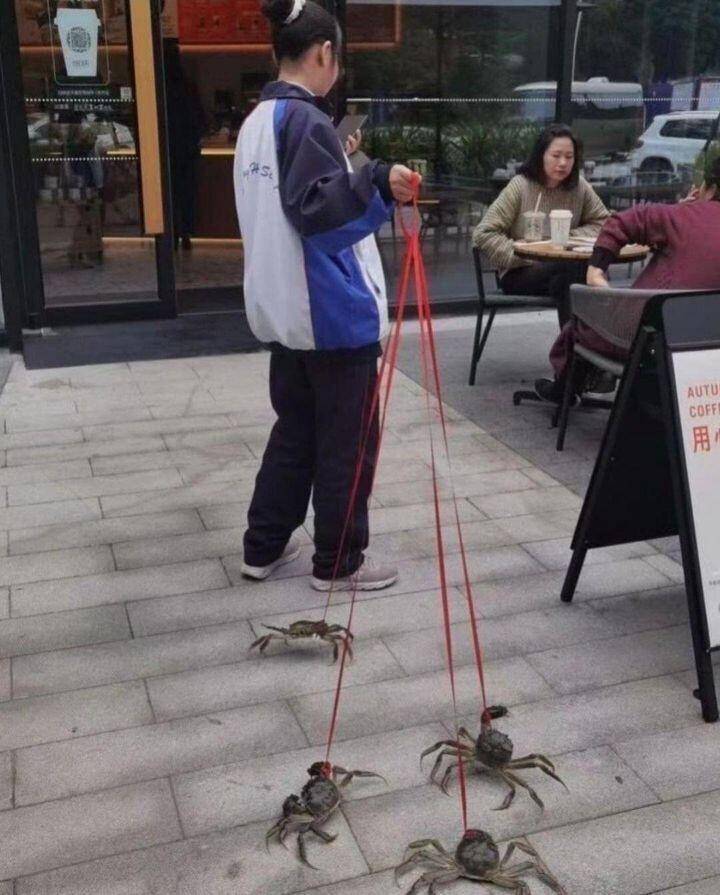 짤 한번더 (커뮤니티 - 자유게시판)