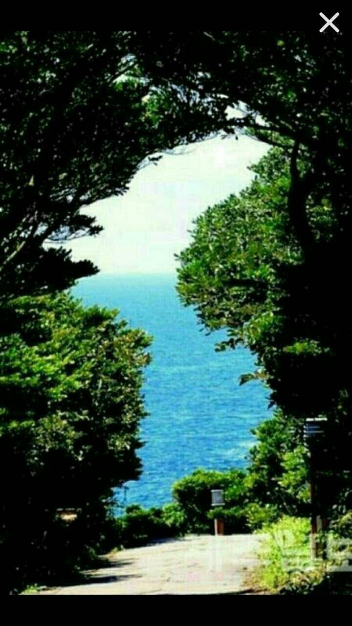 출석부 (커뮤니티 - 자유게시판)