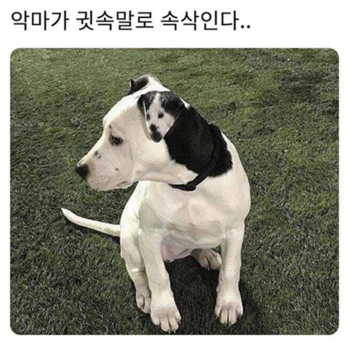 화요일 짤 입니다 (커뮤니티 - 자유게시판)