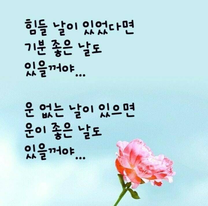 이유가 뭘까 (커뮤니티 - 자유게시판)