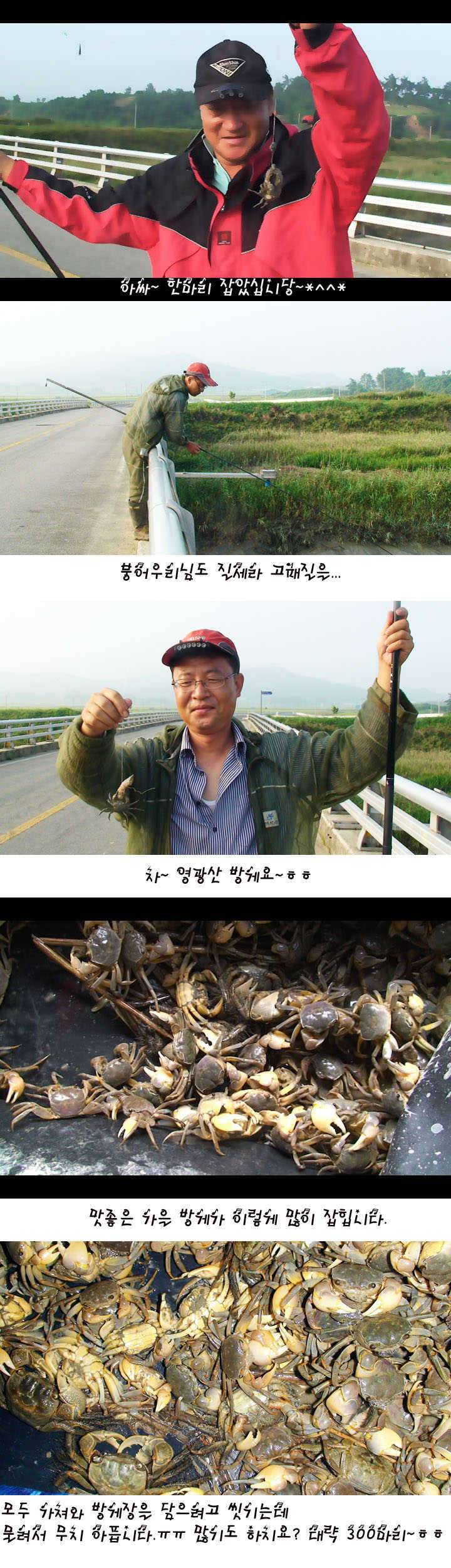대박 OR 게박 (커뮤니티 - 자유게시판)