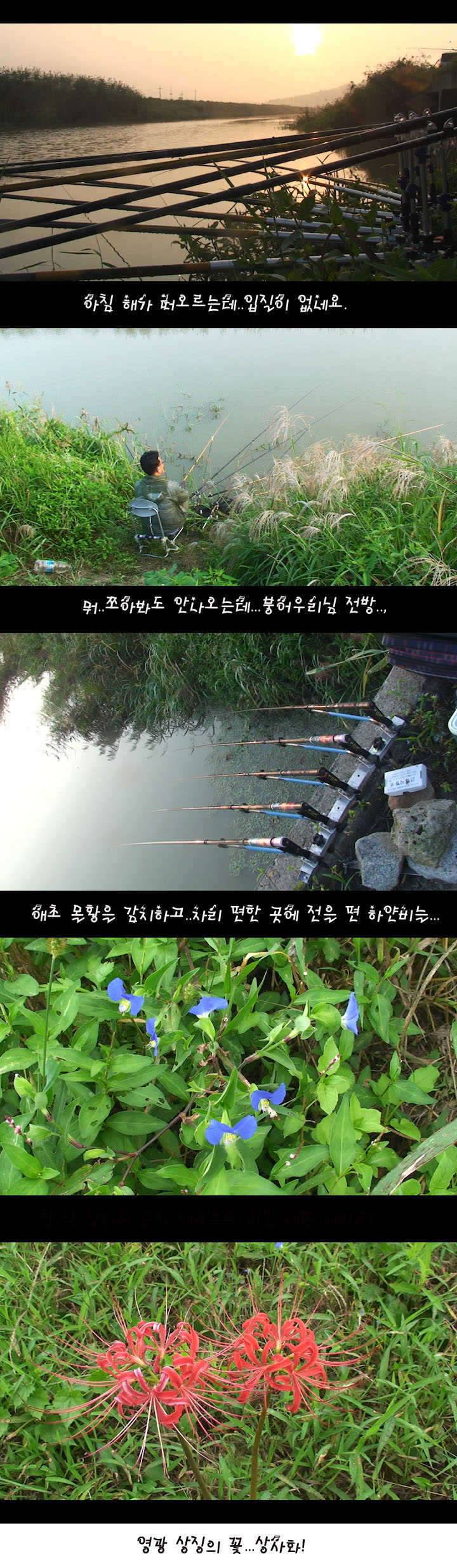 무엇이 나를 부르는가 (커뮤니티 - 자유게시판)