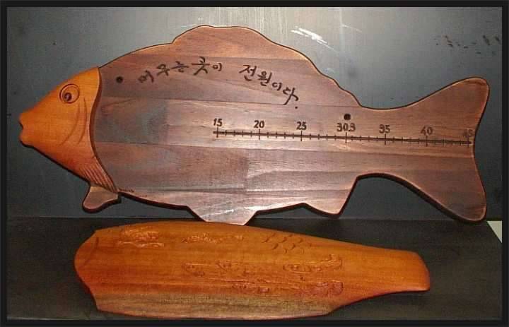 태풍 너구리 (커뮤니티 - 자유게시판)