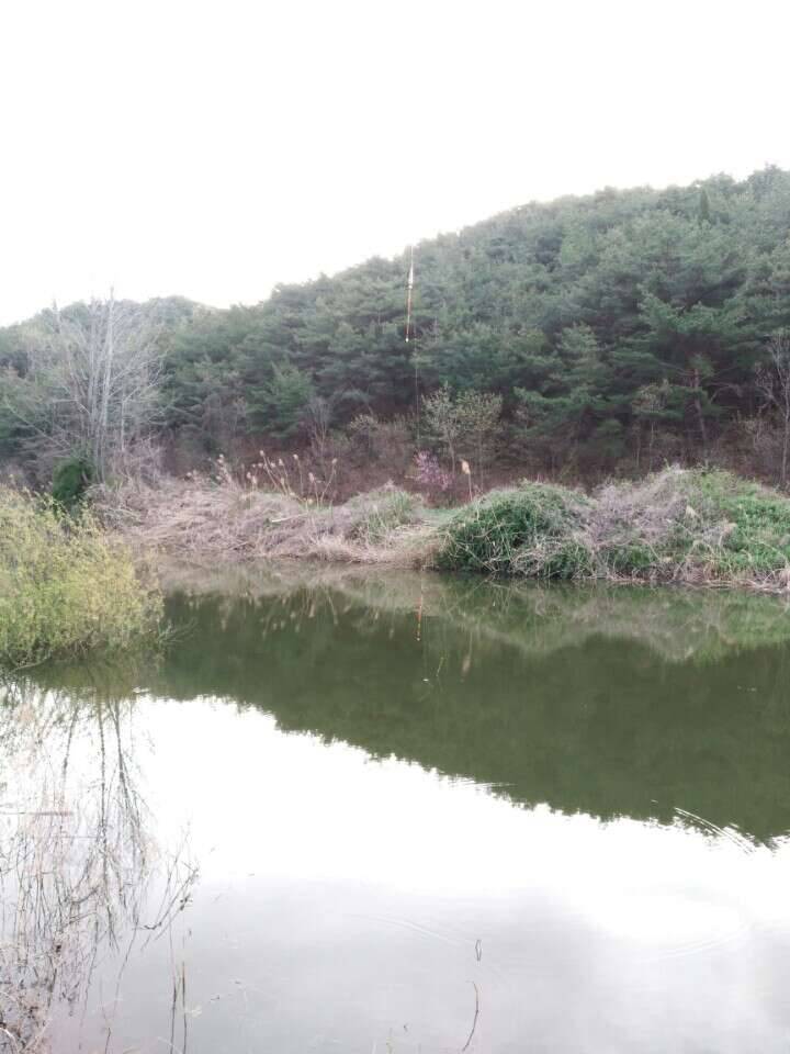 등신등신상등신 (커뮤니티 - 자유게시판)