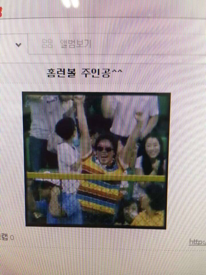 양준혁 선수 홈런볼 아시나요 (커뮤니티 - 자유게시판)