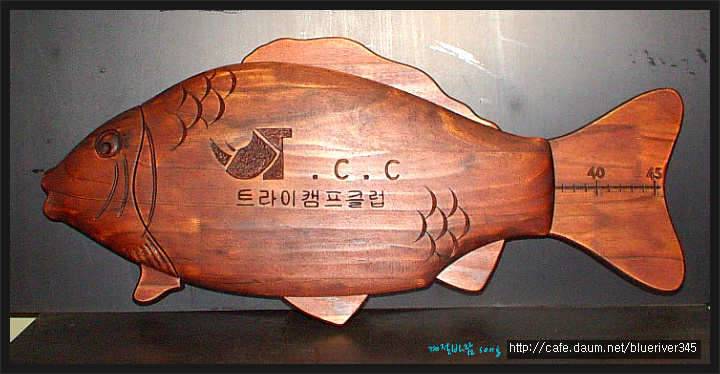 대물계측자 No121트라이캠프클럽 (커뮤니티 - 자유게시판)