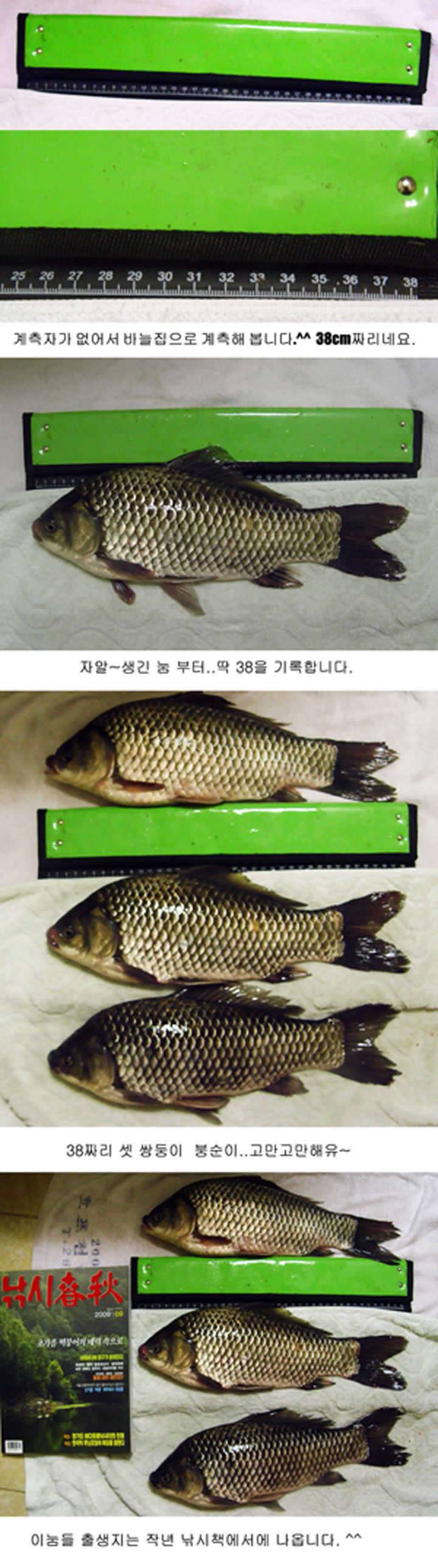 늦은 인사올립니다 사진첨부 (커뮤니티 - 자유게시판)