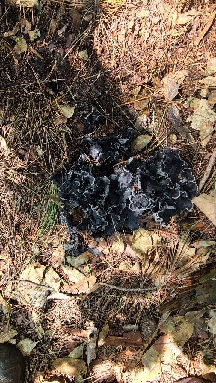 산으로 산으로 (커뮤니티 - 자유게시판)