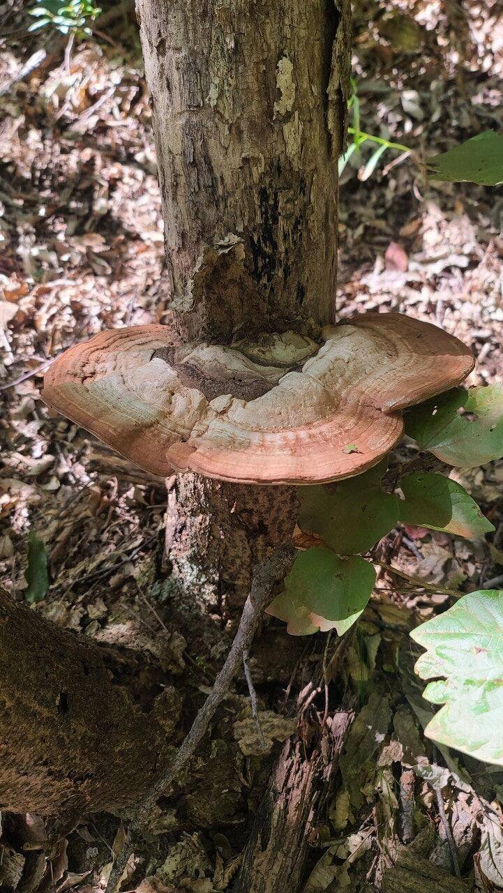 산으로 산으로 (커뮤니티 - 자유게시판)