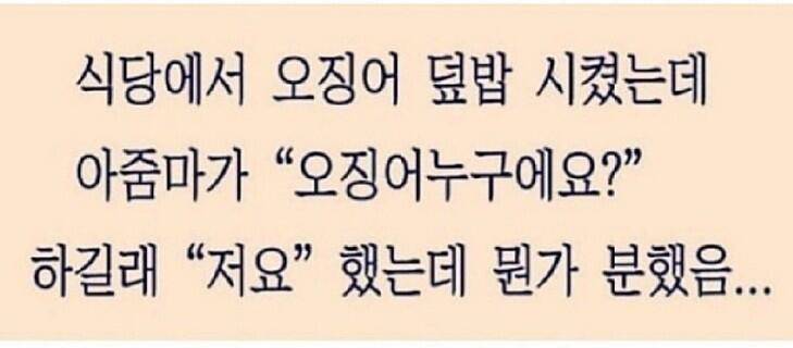 고양이 숨바꼭질 2 (커뮤니티 - 자유게시판)