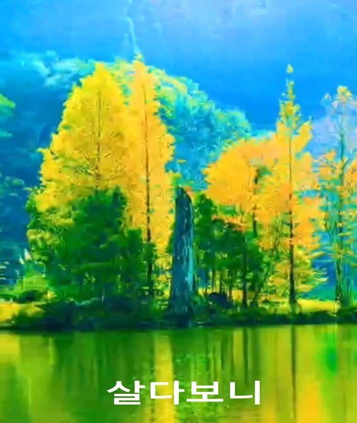 출석부 (커뮤니티 - 자유게시판)