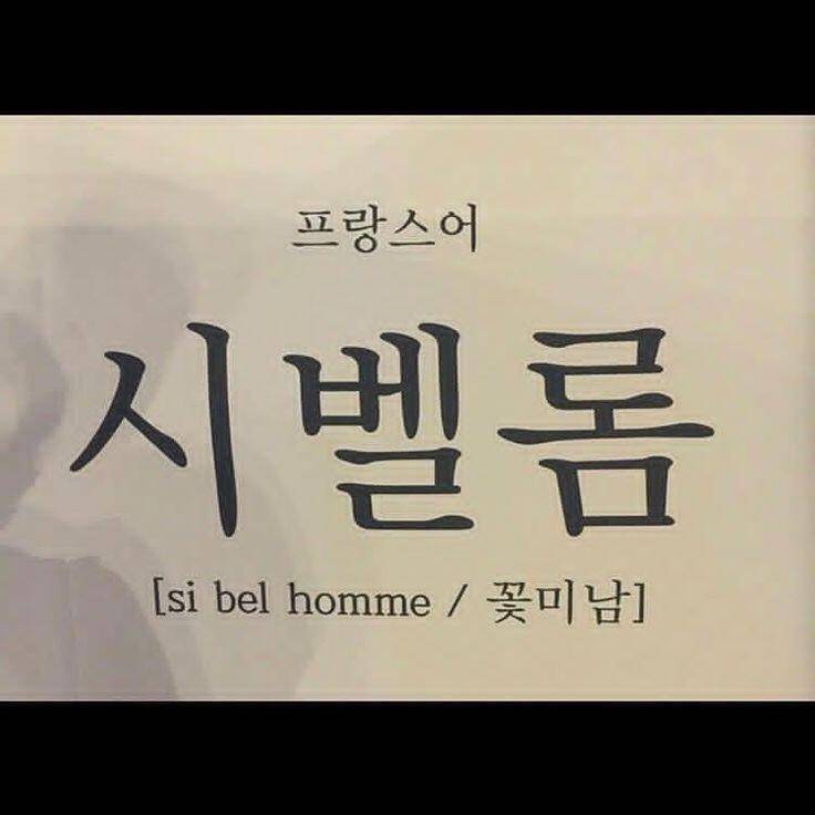 시벨롬 (커뮤니티 - 자유게시판)