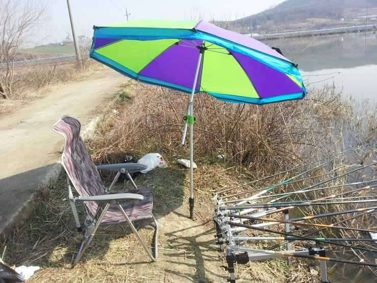 그린비 파라솔엘보 (커뮤니티 - 자유게시판)