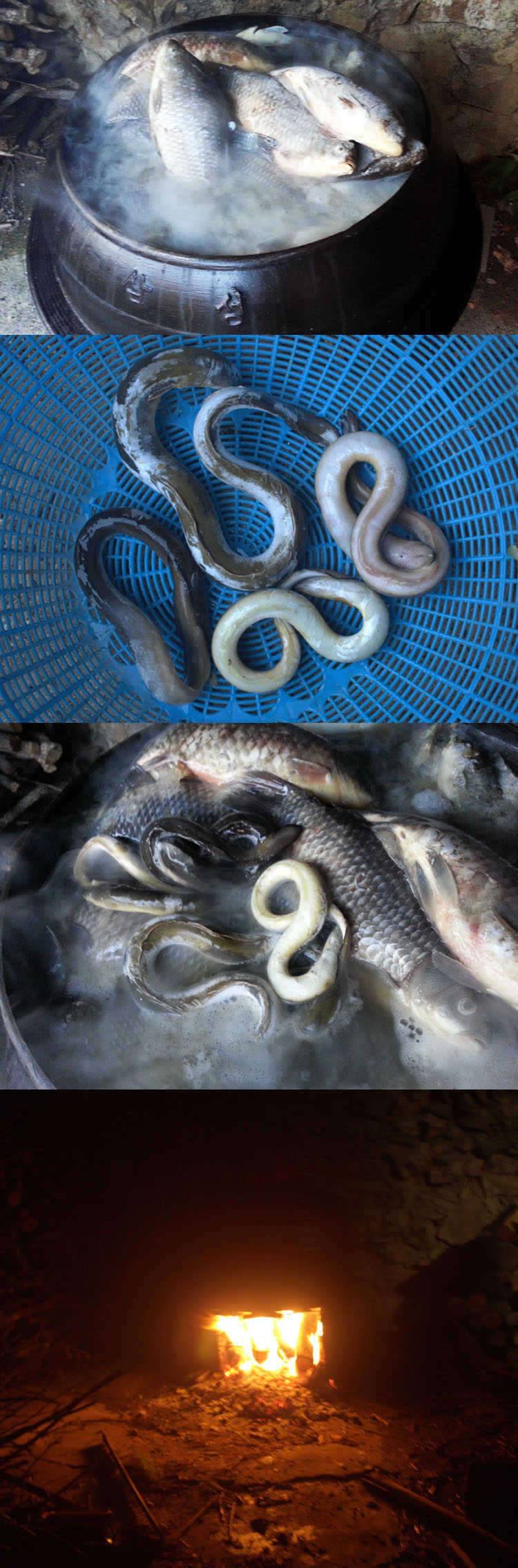 1편 붕어즙이라 부르고 (커뮤니티 - 자유게시판)