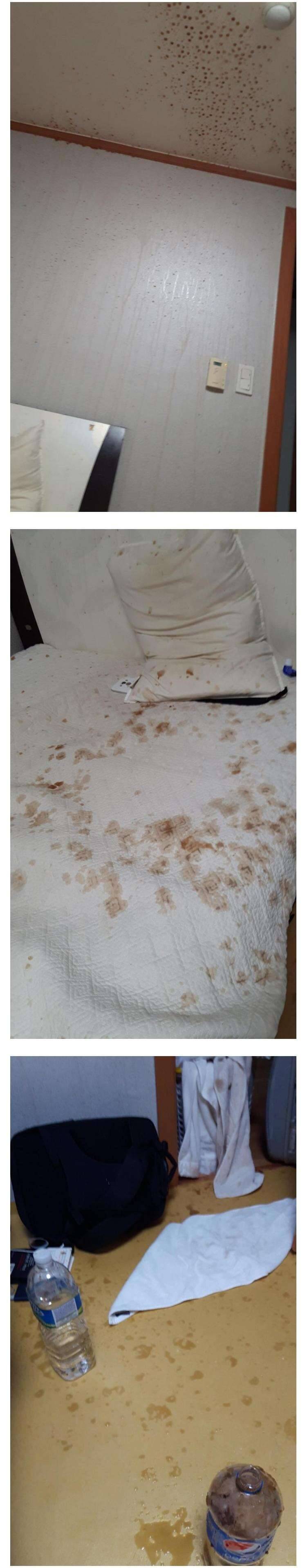 냉동고에 넣어둔 콜라를 땃다 (커뮤니티 - 자유게시판)