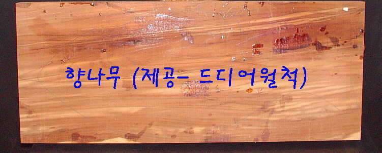 뭘 하며 놀까 (커뮤니티 - 자유게시판)