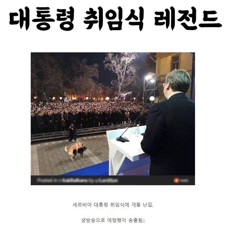 짤 모음 (커뮤니티 - 자유게시판)