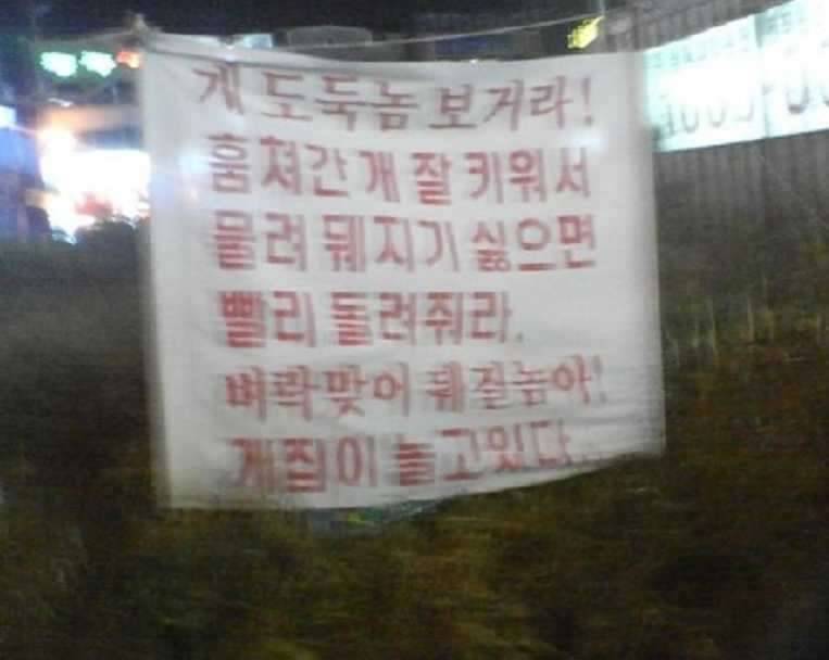 재미있는 글 들 (커뮤니티 - 자유게시판)