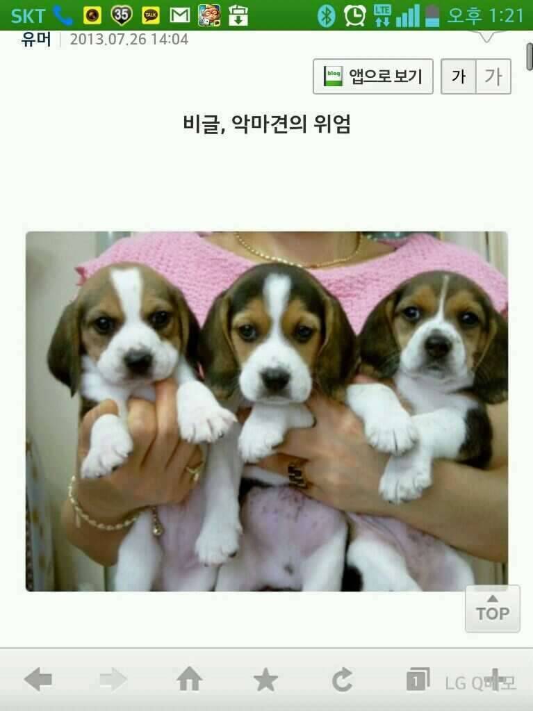꽝조사궁금합니다 (커뮤니티 - 자유게시판)