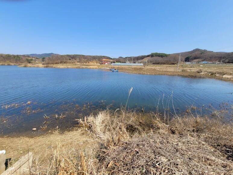 용제지 조행기 (커뮤니티 - 자유게시판)