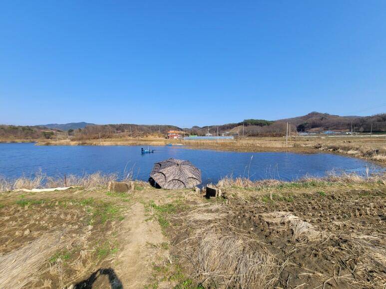 용제지 조행기 (커뮤니티 - 자유게시판)