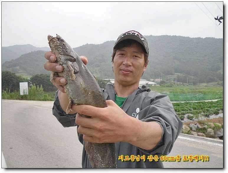 모처럼 요리를 해봤습니다 메기 매운탕 (커뮤니티 - 자유게시판)