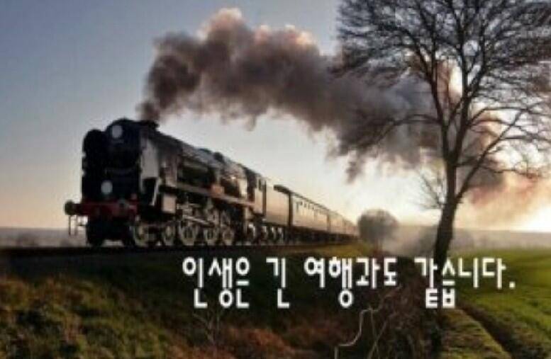 출석부 (커뮤니티 - 자유게시판)