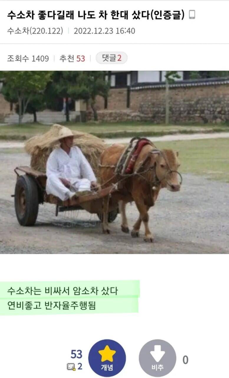 고양이 숨바꼭질 2 (커뮤니티 - 자유게시판)