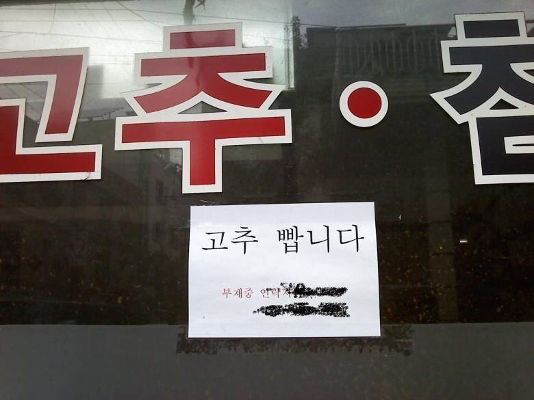 고추 빱니다 (커뮤니티 - 자유게시판)