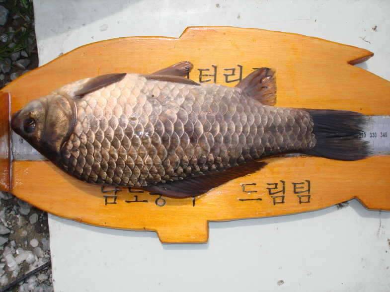 아 진짜 (커뮤니티 - 자유게시판)