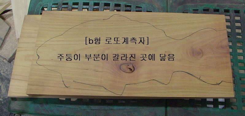 오랫토록 기다린 달랑무님 (커뮤니티 - 자유게시판)