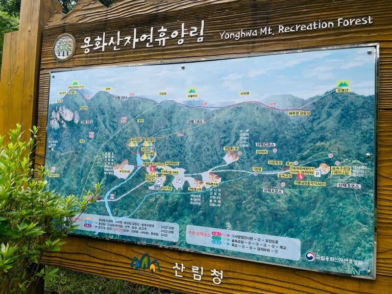 지금 이순간 (커뮤니티 - 자유게시판)
