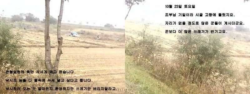 제발 진천 덕문이 수로에 오지마세요 (커뮤니티 - 자유게시판)
