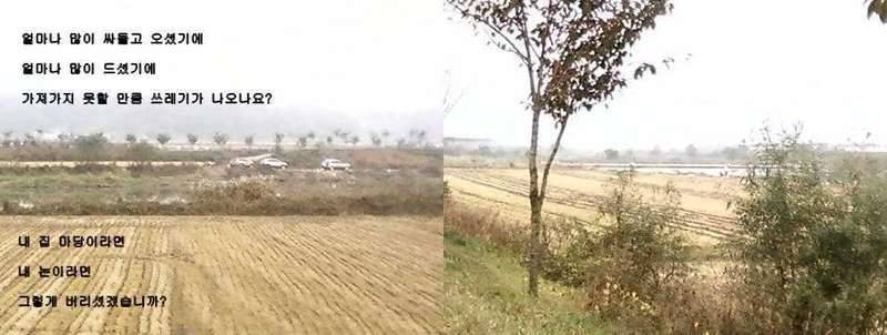 제발 진천 덕문이 수로에 오지마세요 (커뮤니티 - 자유게시판)