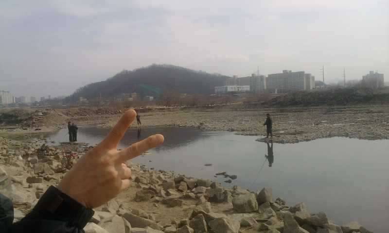 대구에도 이런일이 (커뮤니티 - 자유게시판)