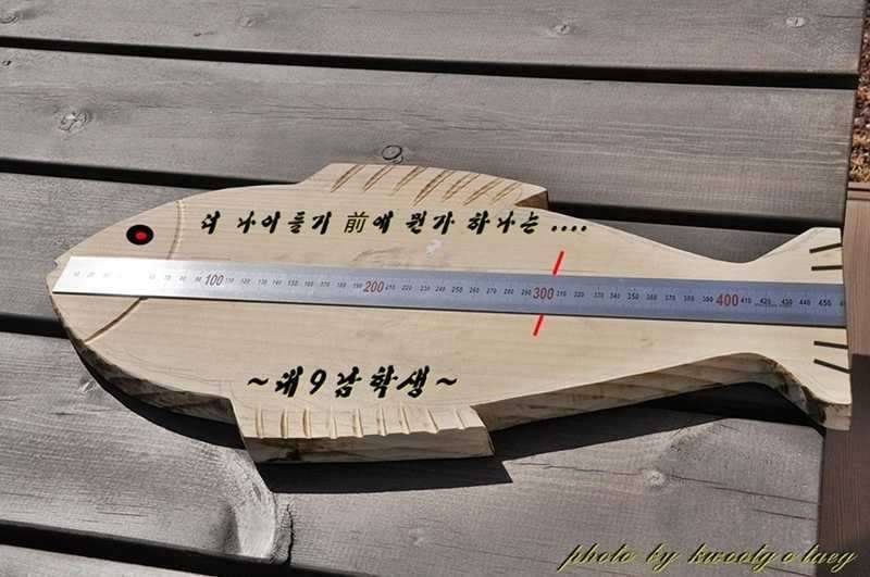 계측자 만들기 (커뮤니티 - 자유게시판)