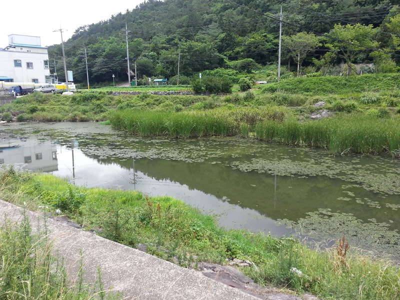 4짜는 어디에 있을까요 (커뮤니티 - 자유게시판)