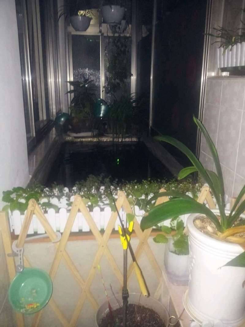 베란다 어떻게 사용하시나요 (커뮤니티 - 자유게시판)