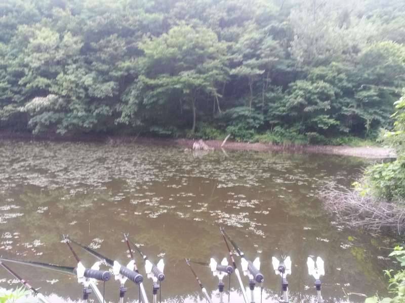 하수한데 졌습니다 (커뮤니티 - 자유게시판)