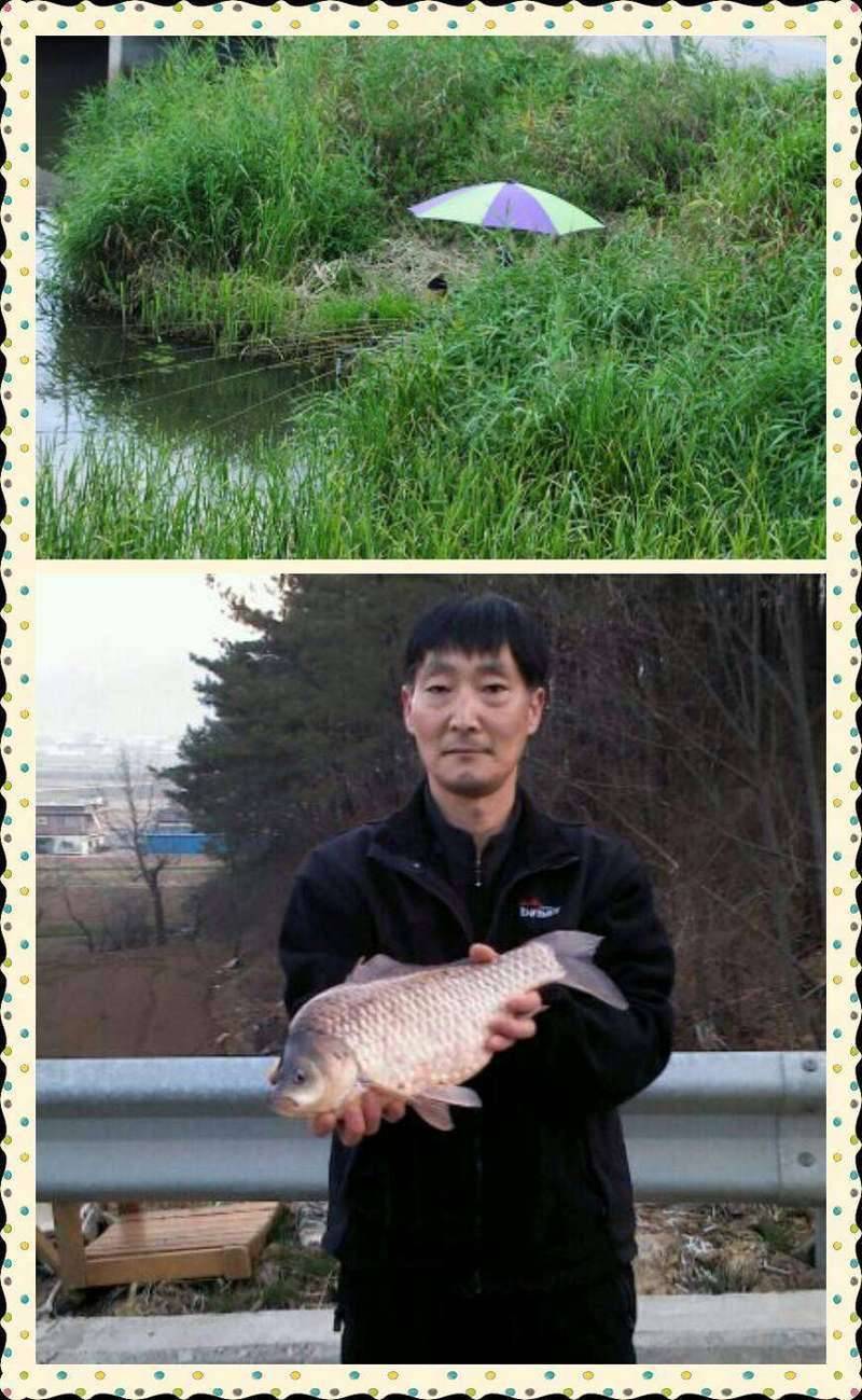 잠몬 이루는 밤 (커뮤니티 - 자유게시판)