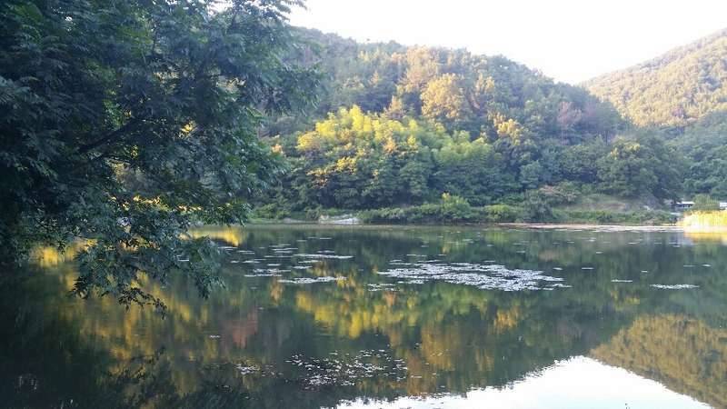 육수 바가지 (커뮤니티 - 자유게시판)