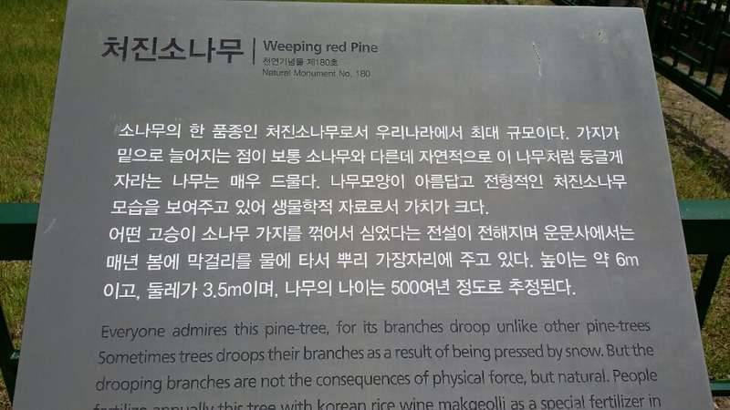 임대사업도 여러가지가 있군요ㅎ (커뮤니티 - 자유게시판)